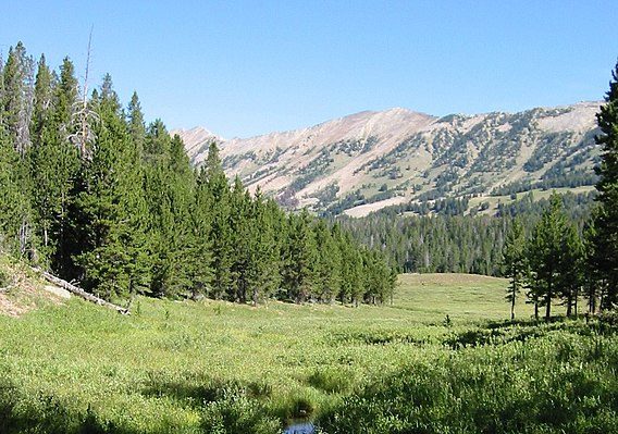 Custer Gallatin National Forest