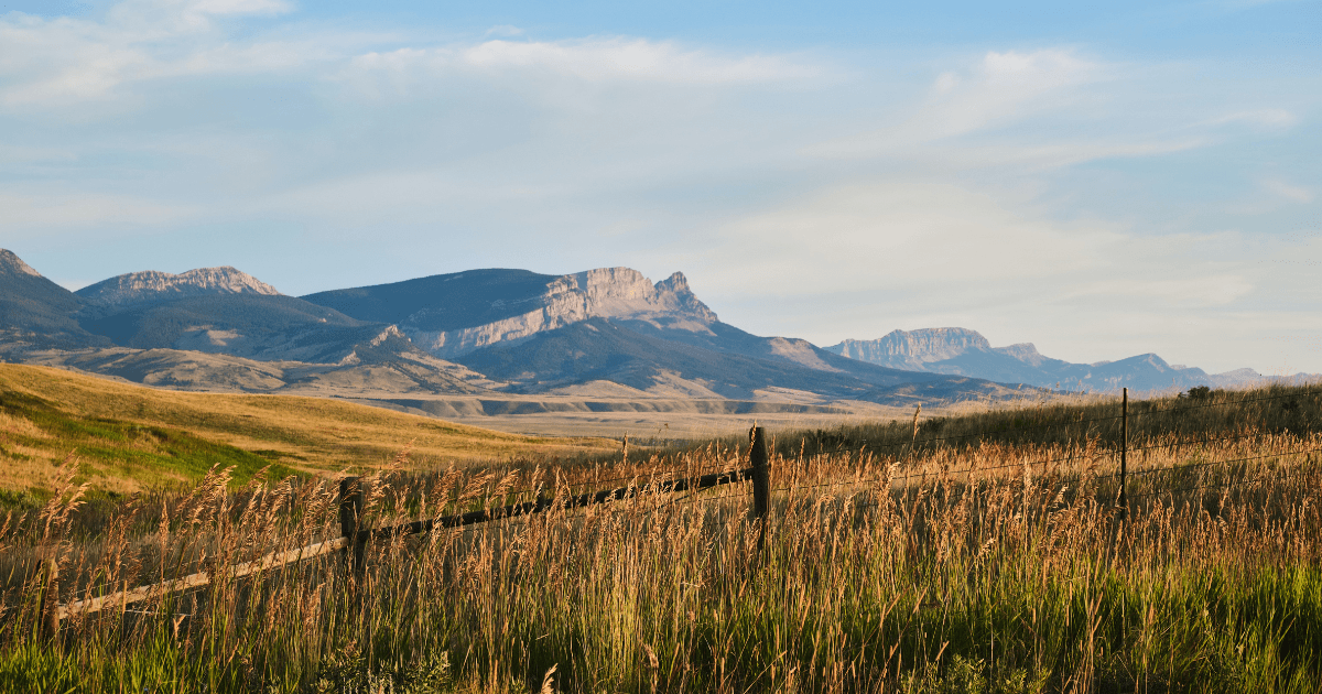 The Best Campgrounds in Montana: National Parks, National Forests, and More