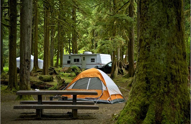 Mossy Campground