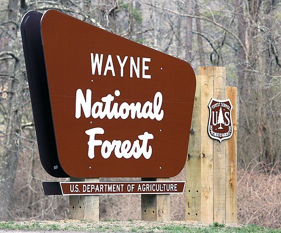 Wayne National Forest