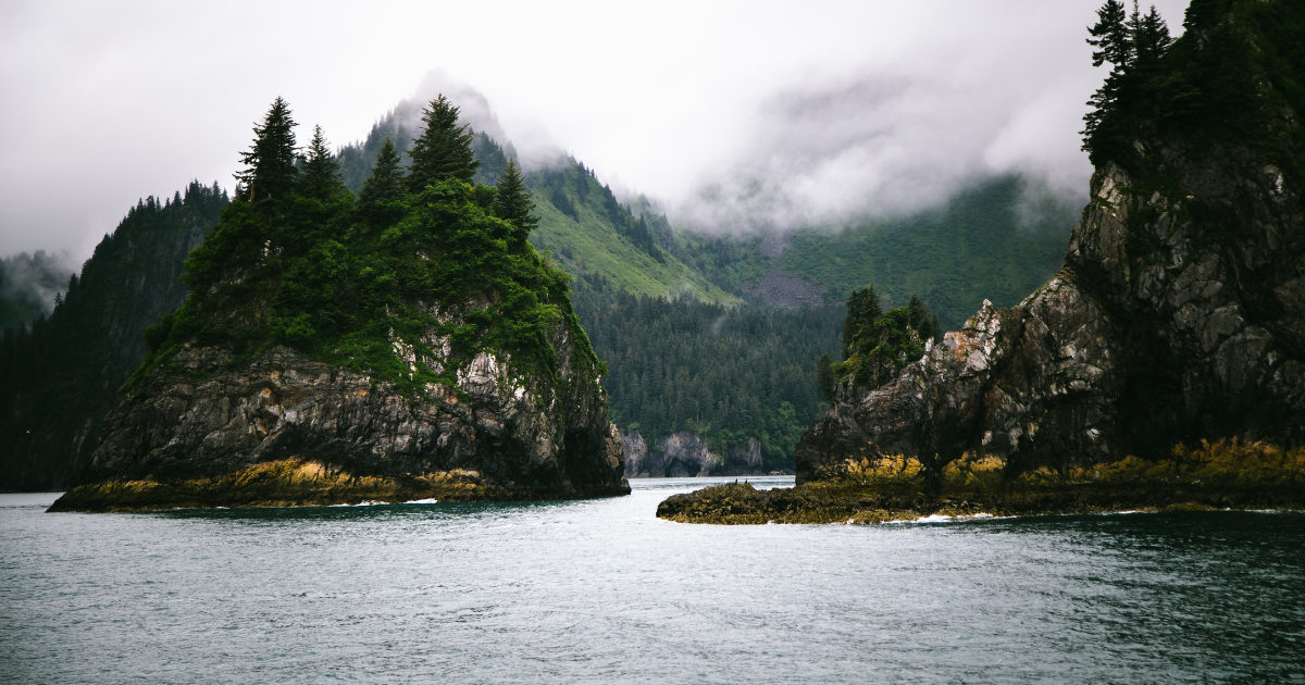 Whale Watching and Camping in Kenai Fjords National Park, Alaska